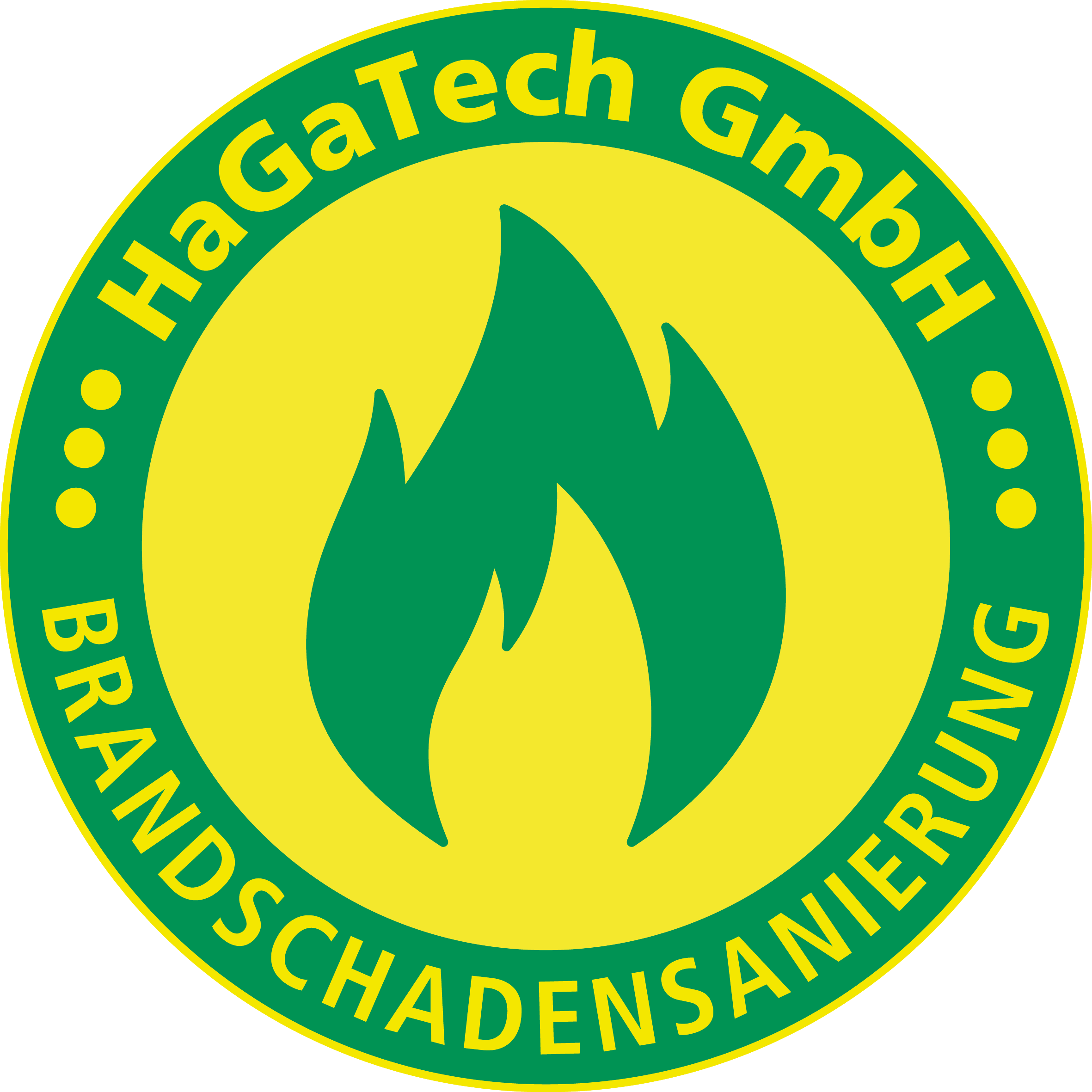 Icon-HaGaTech-2020-Brandschaden