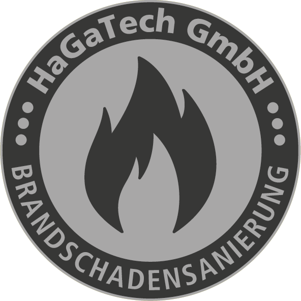 Icon-HaGaTech-2020-Brandschaden-sw